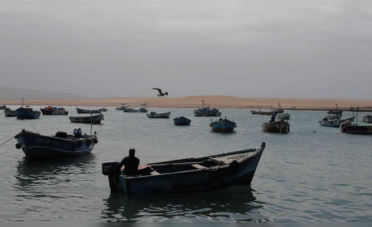 Fujimorismo y ‘lobby’ empresarial a favor de la pesca industrial