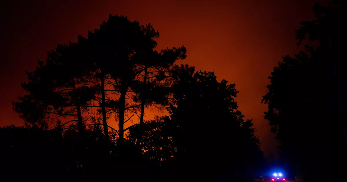 Mineurs désœuvrés, marginaux multirécidivistes, pompiers volontaires… Qui sont ces incendiaires et pyromanes qui font brûler la France ?