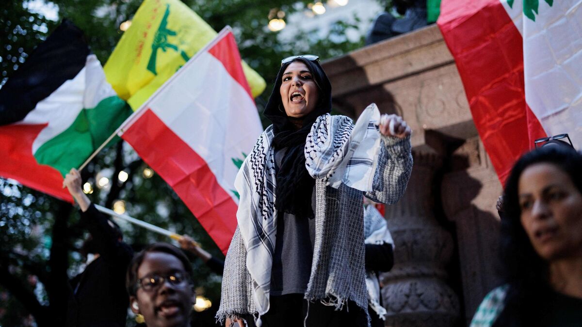 "I will continue to defend the Palestinian people": planned attack thwarted against activist