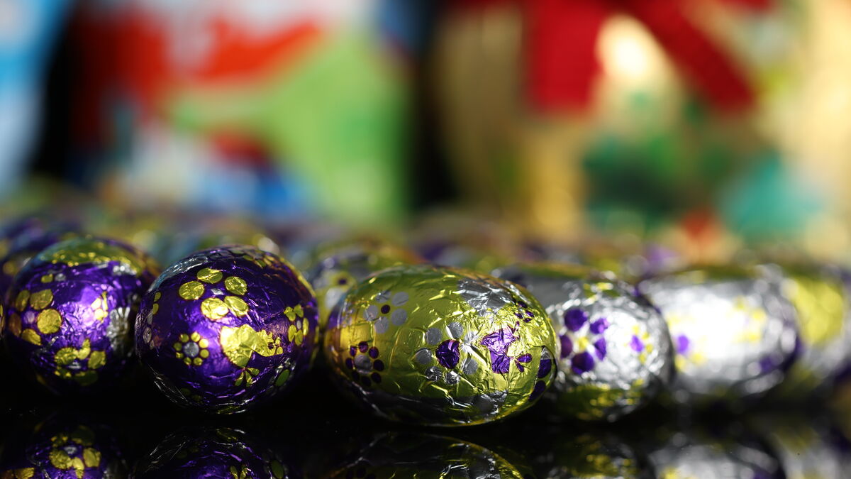 Chasse aux œufs: chute d'arbre en Allemagne, trois morts