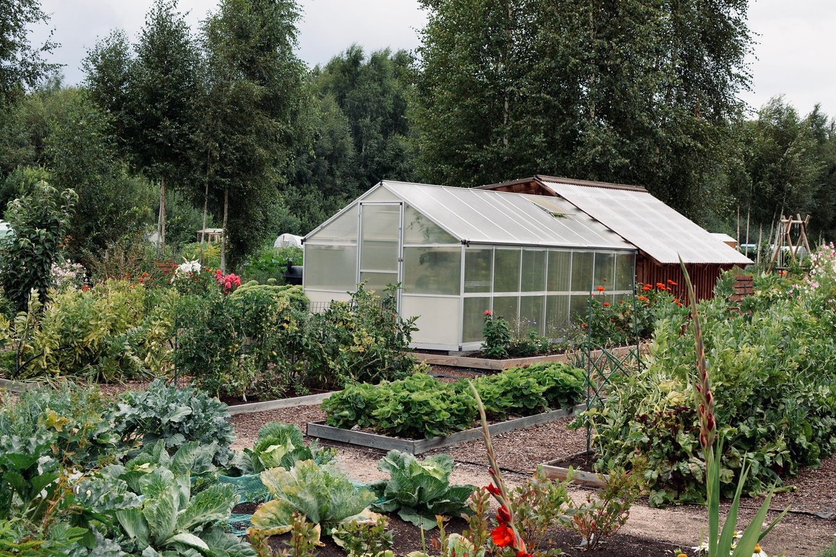 July Sowing Calendar