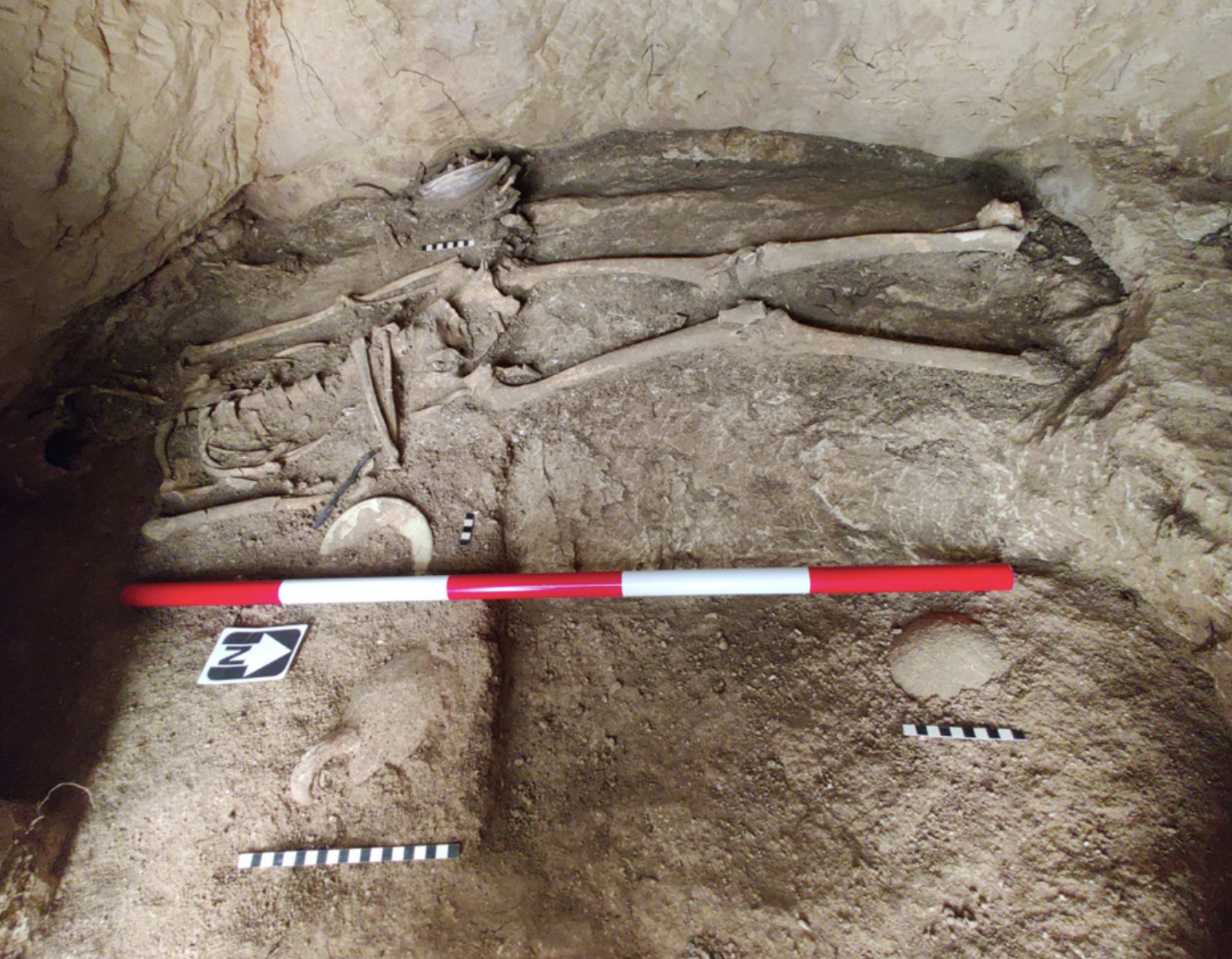 A woman with decayed teeth, butchered animal bones and pottery: Malta’s hidden treasures uncovered