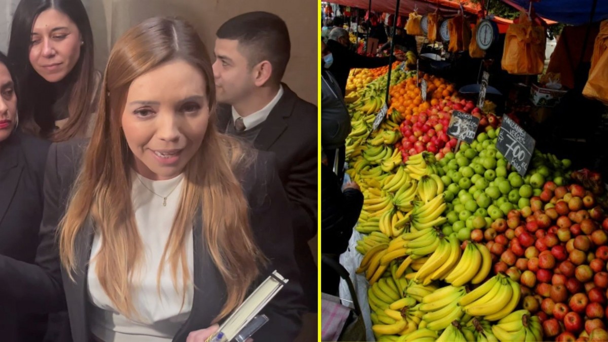 "Ser mujer de feria es un orgullo": Ferias Libres responden a Camila Flores tras polémica frase en el Senado