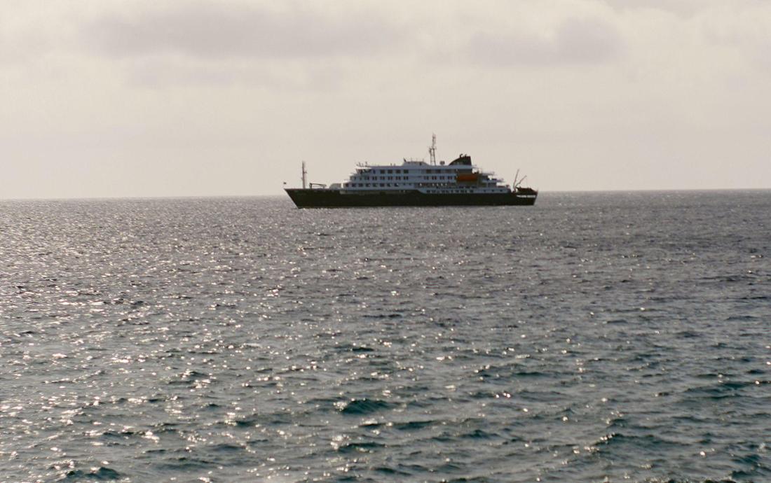 Tote nach Hantavirus-Ausbruch auf Kreuzfahrtschiff: Passagier unter Tränen – „wollen nur nach Hause“