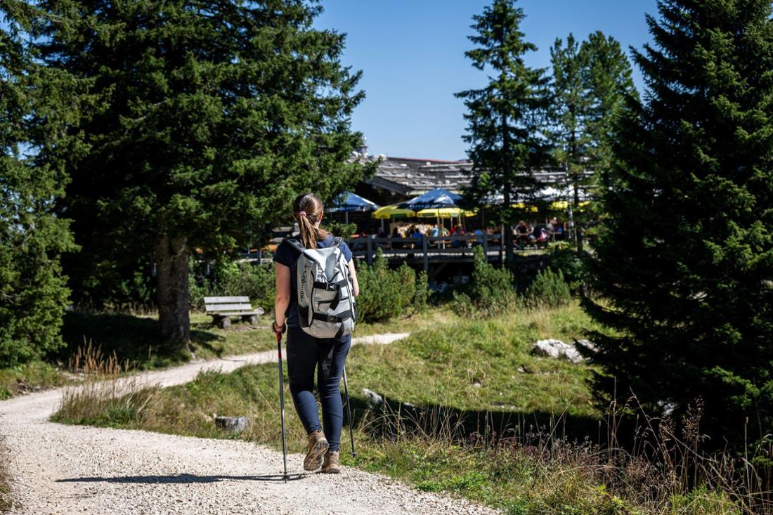 DAV warnt vor Bettwanzen: Immer mehr Alpenhütten betroffen – „Können einem das Leben vermiesen“