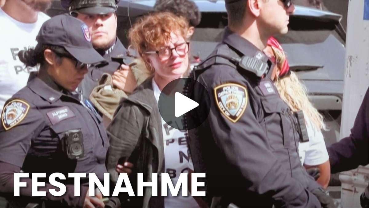 Bei Netanjahu-Protest taucht auch Hollywood-Star auf – und wird prompt festgenommen