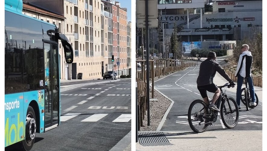 Environnement : Toute l'actualité environnementale