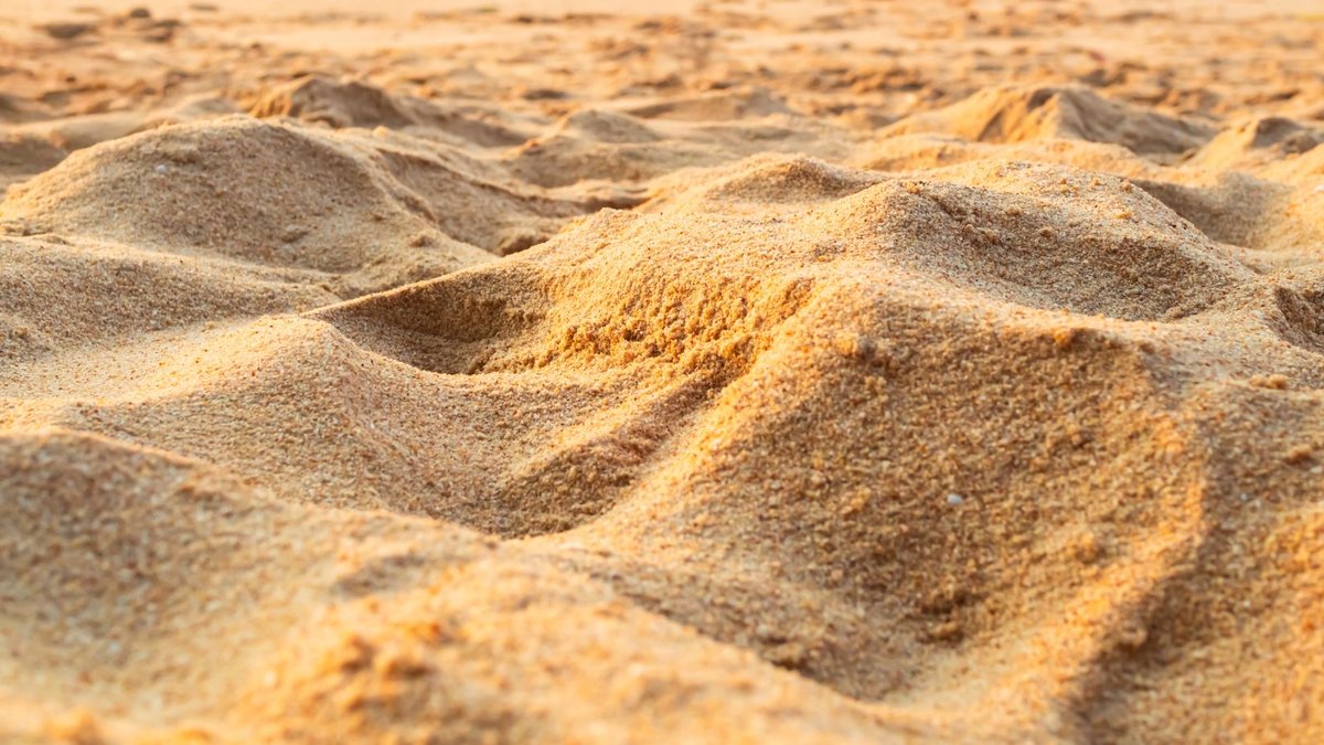 A leg found on a remote beach: the limb belongs to a banker missing for 26 years