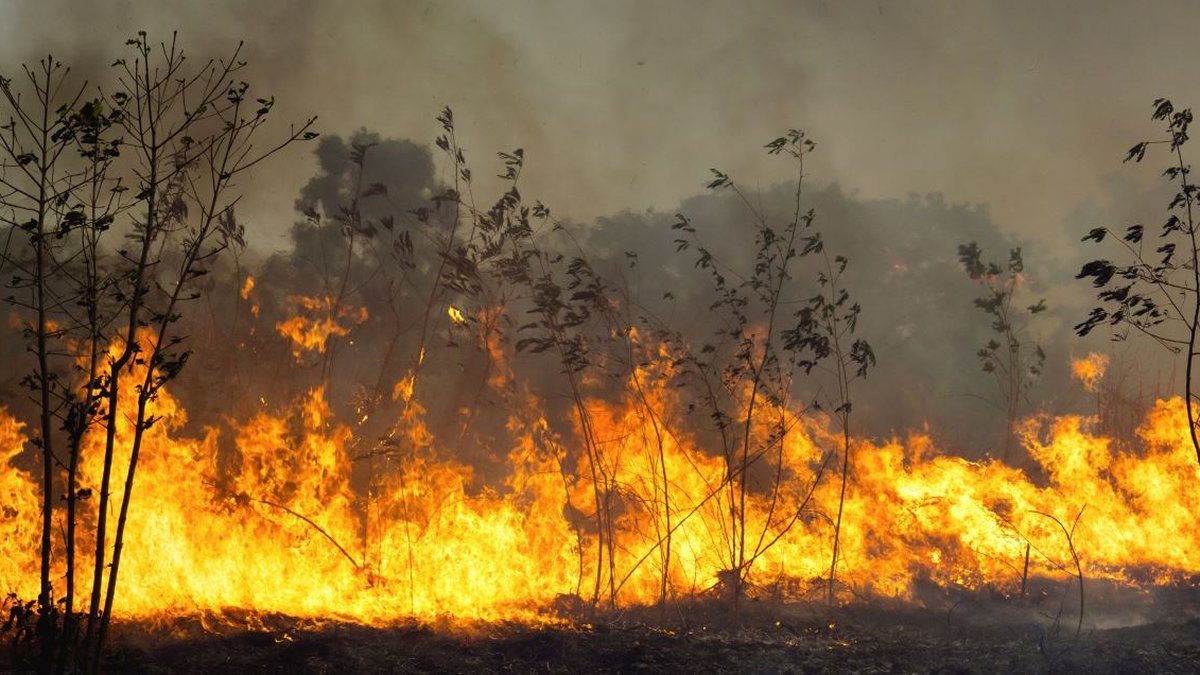 L’incendie ravage un village : un millier de maisons détruites par les flammes sur 4 hectares