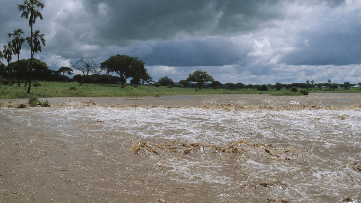 Un épisode El Niño "probable à 80 %" : des événements météorologiques extrêmes sont à craindre cet été, alerte l’ONU