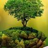 World Environment Day 2026: Beyond Net Zero: How India's Leading Brands Are Turning Daily Habits Into Climate Action