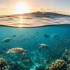 World Oceans Day 2026: Wonders, Threats And Ways To Protect Our Oceans