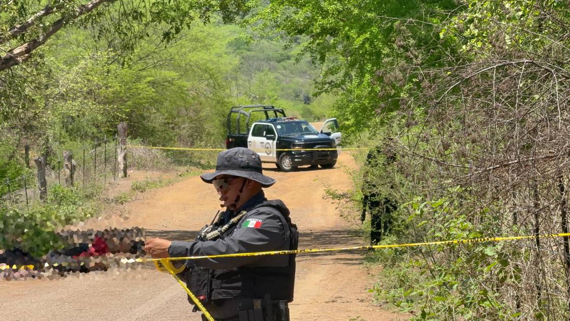 Hallan 3 hombres asesinados y atados en Tepuche, Culiacán; estaban debajo de un árbol