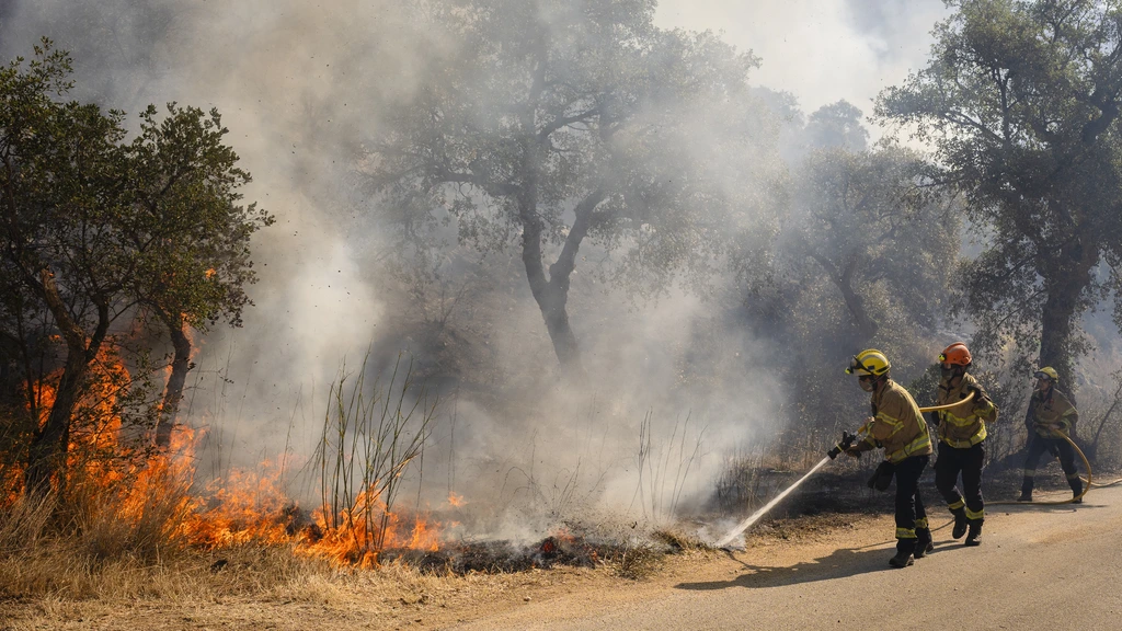 'We dachten: dit is foute boel', Nederlanders zagen Spaanse bosbrand snel groeien