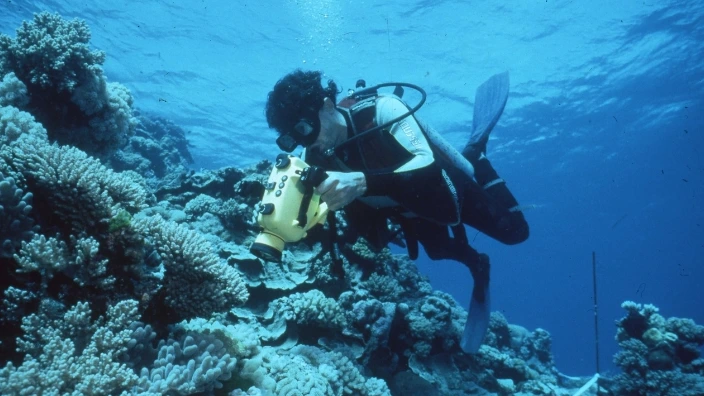 Australian Great Barrier Reef not on Unesco endangered world heritage list after all