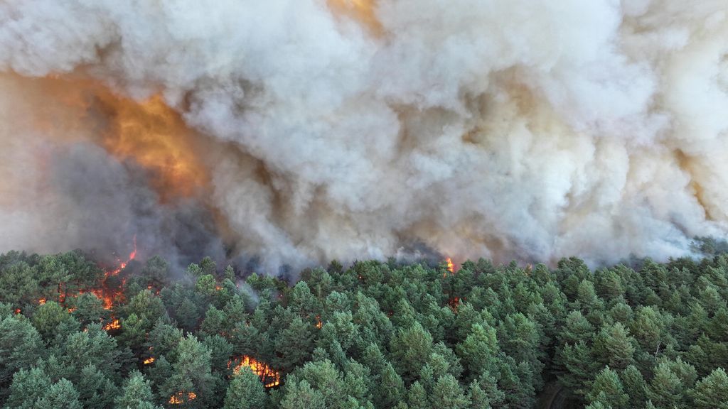 Honderden brandweerlieden bestrijden grote bosbrand ten zuidoosten van Parijs
