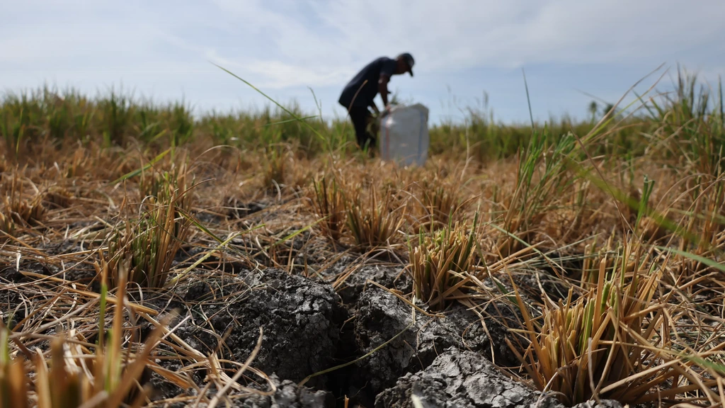 Weerorganisatie WMO: huidige El Niño kan sterkste worden in veertig jaar