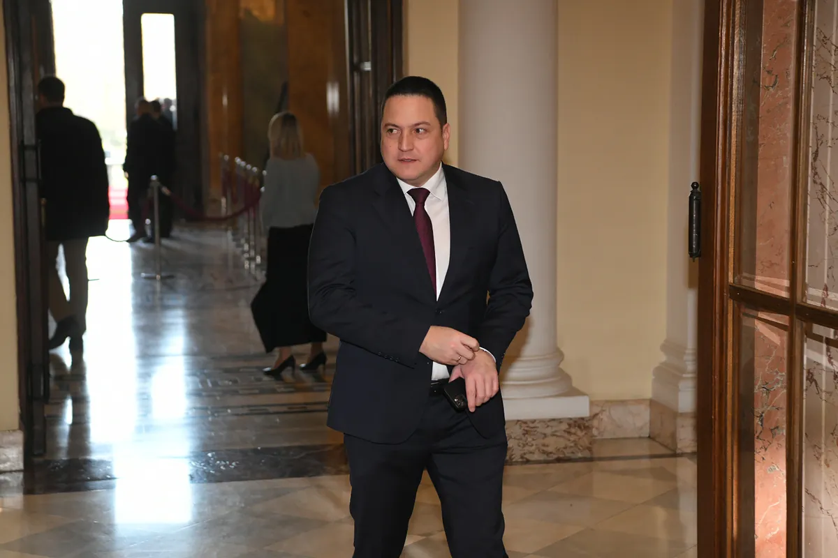 Da li je Branko Ružić politički "poginuo", a da nije postigao ništa