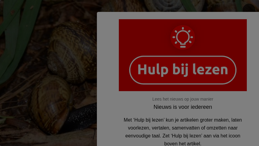 Waarom we juist blij zouden moeten zijn met de vele slakken in de tuin