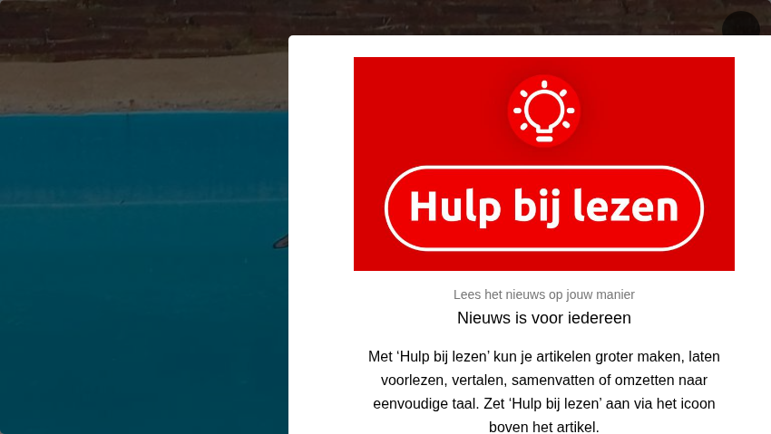 Eendenfamilie kiest zwembad in Den Bosch voor uitje: 'Niet echt handig'