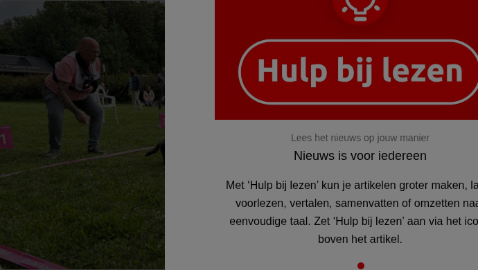 Chaos bij het teckelrennen in Zevenbergen: 'Ze rennen overal'