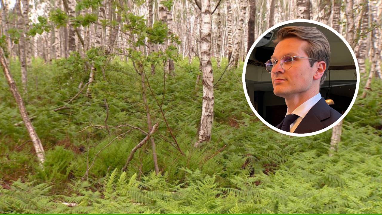 Honderden miljoenen om natuurgebied De Peel te redden: 'Hard nodig'