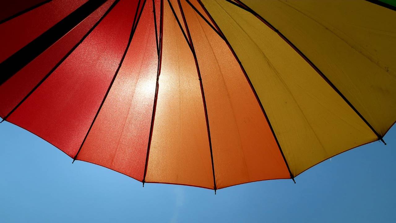 Bloedheet in Brabant: pas op voor uitdroging en let op je huisdier