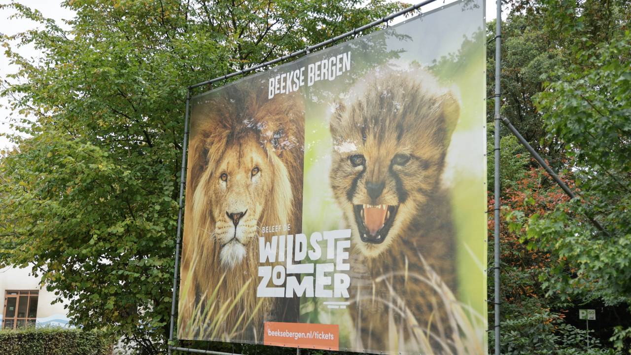 Asielopvang bij Beekse Bergen afgeblazen door eigenaar Libéma