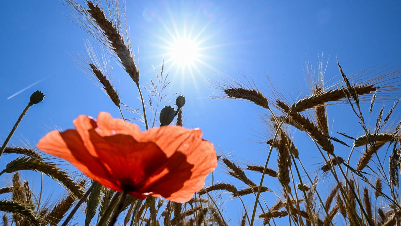 Het wordt bloedheet in Brabant: zon en 35 graden op komst