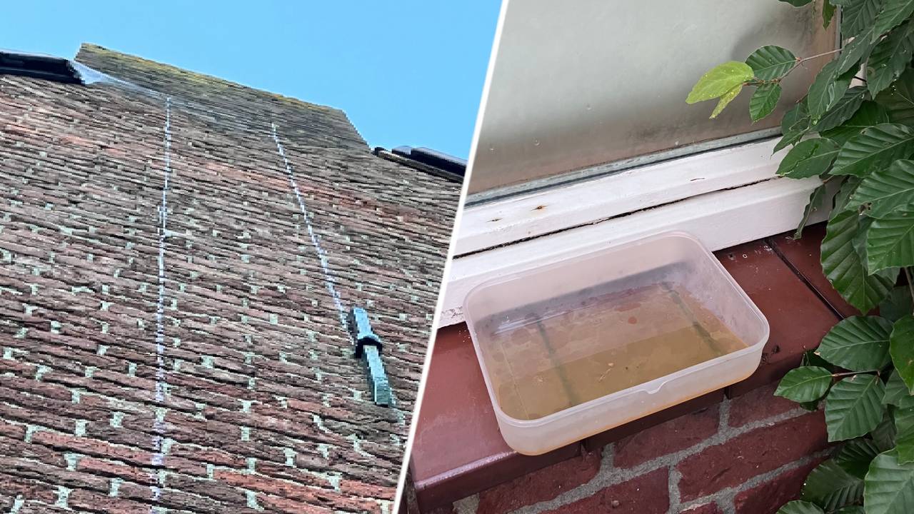 Carolien ziet ‘lekkage’ uit schoorsteen, het blijkt iets bijzonders te zijn