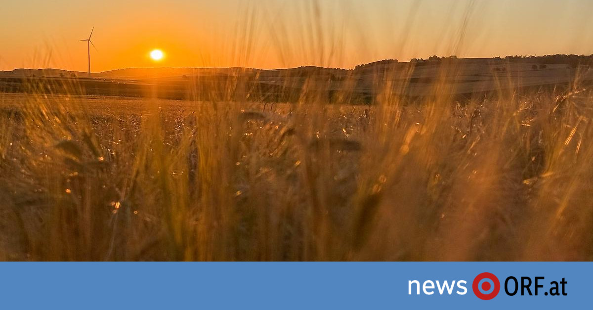 Drückend schwül: Hitzewelle rollt an