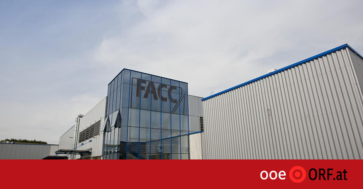 VERWECHSLUNG: Leichenteile versehentlich an FACC geliefert