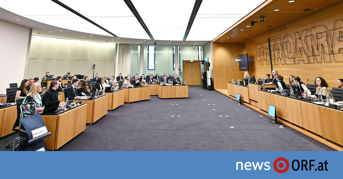 Pilnacek-U-Ausschuss: Staatsanwältin und der „schöne Akt“
