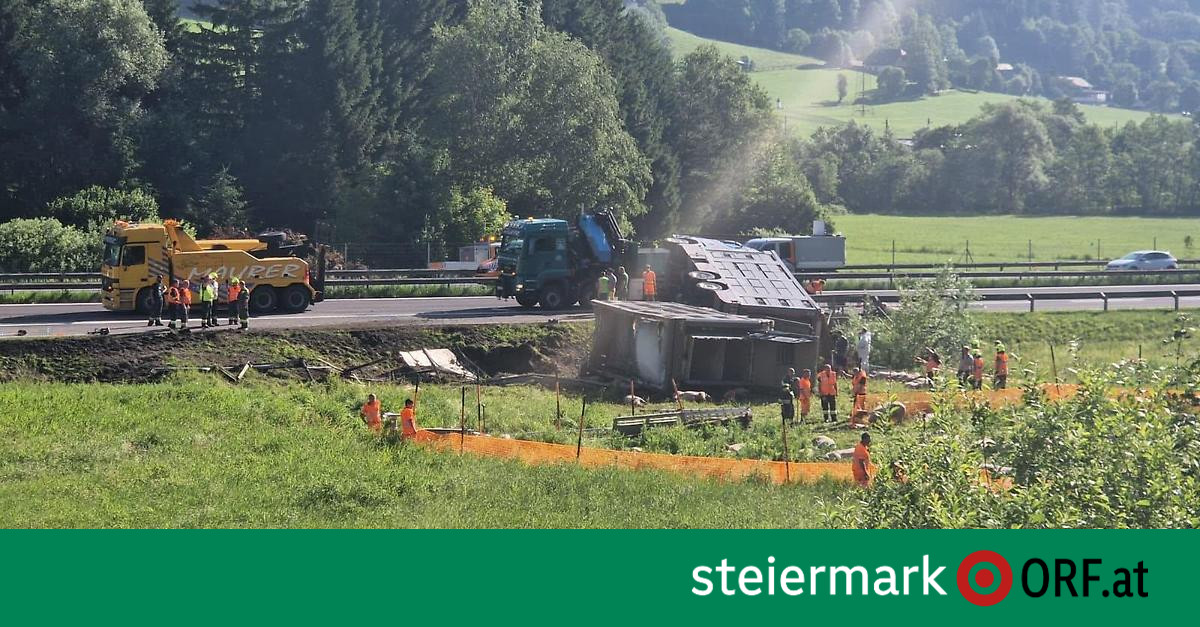 Rund 60 Tiere tot: Schweinetransporter auf A9 umgekippt