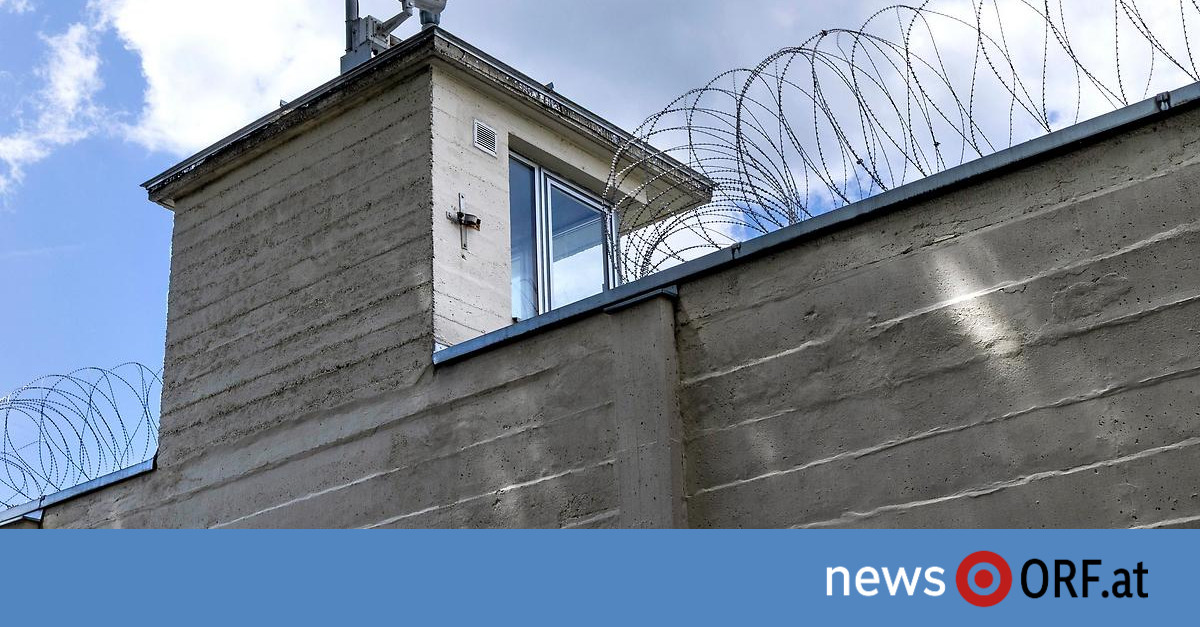 Ministerrat: Regierung plant Abschiebungen aus Haft