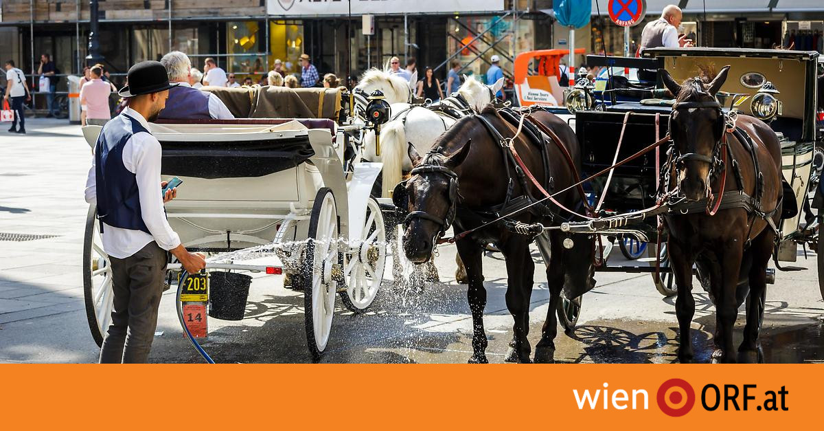 Hitze: Tierschützer fordern Fahrverbot für Fiaker
