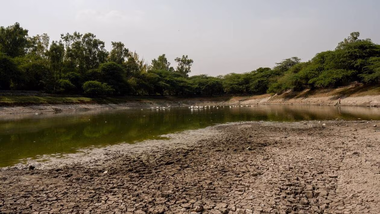 Canicule en Inde : le délicat bilan de la surmortalité causée par la chaleur
