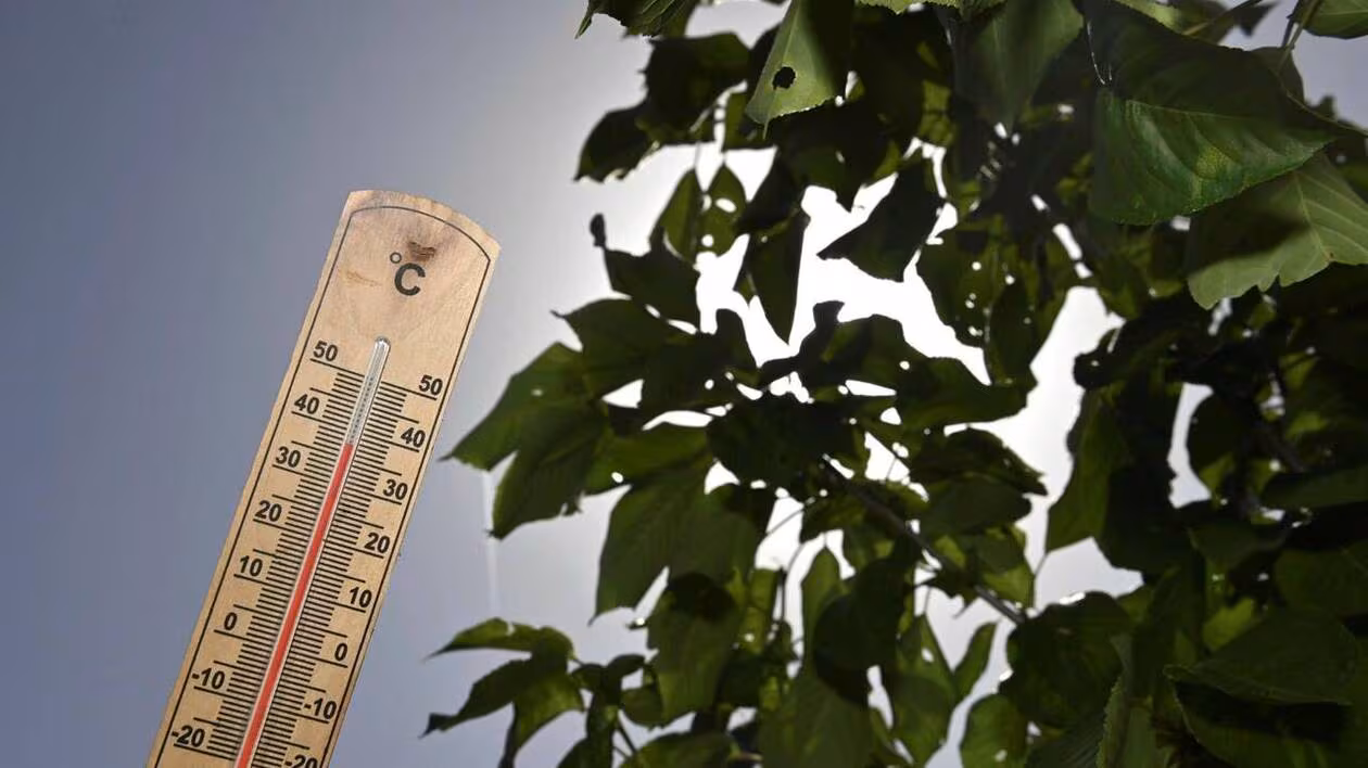 « Ces mouvements climatiques vont se multiplier » : à Dinan, comment la Ville s’adapte aux épisodes caniculaires ?