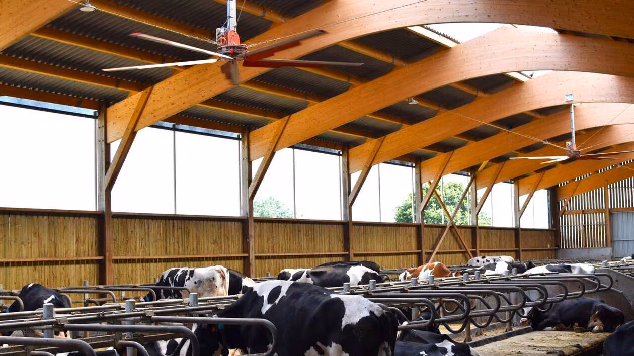 « La production peut baisser de 10 à 30 % » : face à la canicule, les éleveurs investissent pour rafraîchir leurs vaches