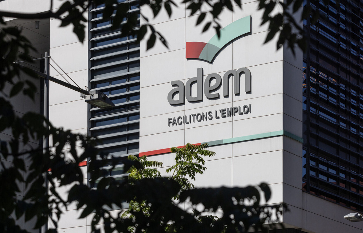 L’Adem ouvre ses stages de professionnalisation aux jeunes