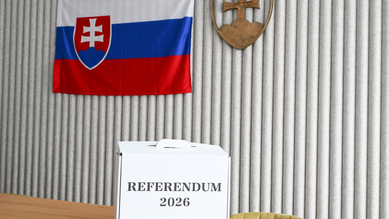 Even an Invalid Referendum Can Be a Success. Political Scientist Explains What Would Help the Democrats