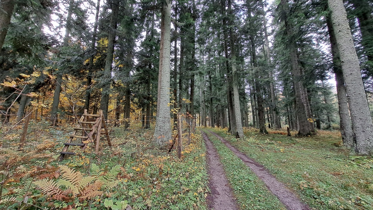 National Park Zonations Spark Dispute. Taraba Rejects Objections Regarding Forest Management - Domestic - News - pravda.sk