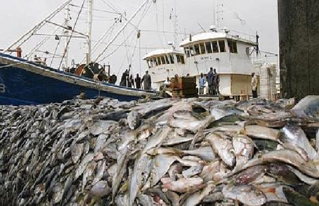 Pêche : Vers un contrôle accru de l'industrie et des assises de l'économie bleue