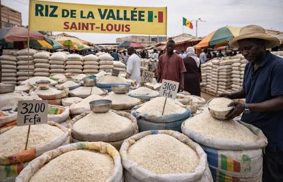 Local Rice: Minister of Commerce Announces Purchase of 9,000 Tons and Signing of Memorandum, Wednesday, July 11, 2026