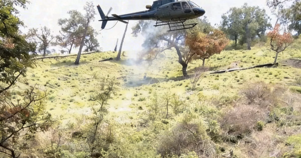 Paraquat, el veneno invisible de la guerra contra las drogas en México