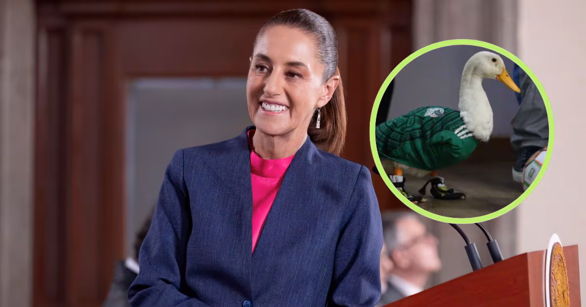 Desata polémica pato Merlín: Sheinbaum responde a madres buscadoras y niega indiferencia