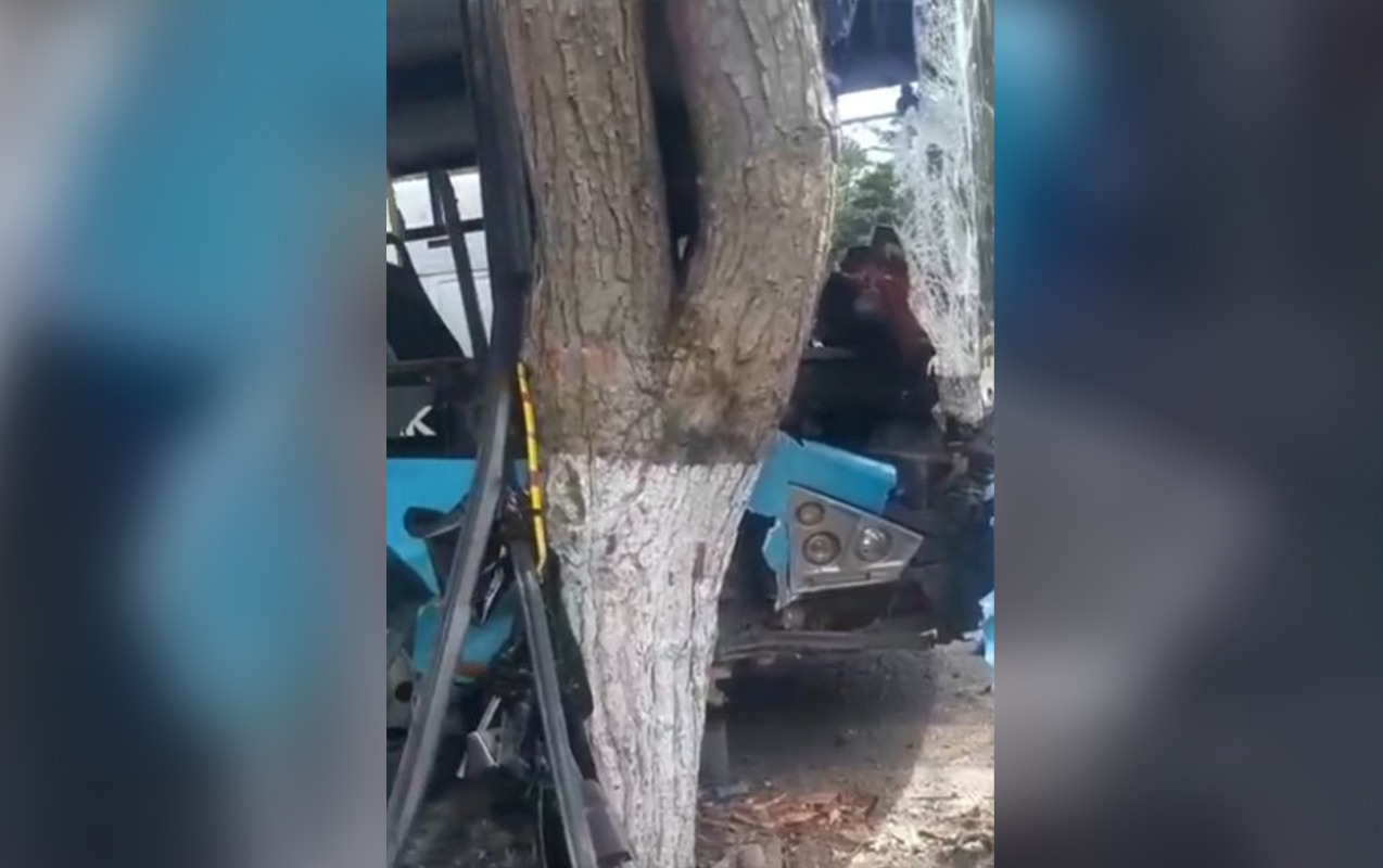 Bakıda marşrut avtobusu ağaca çırpıldı, yaralanan var - Video - Yenilənib