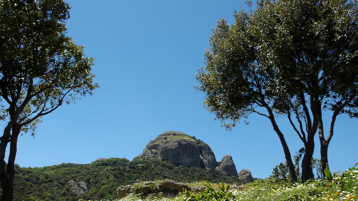 Europa e Calabria unite. La ginestra, trasformazione in una risorsa strategica