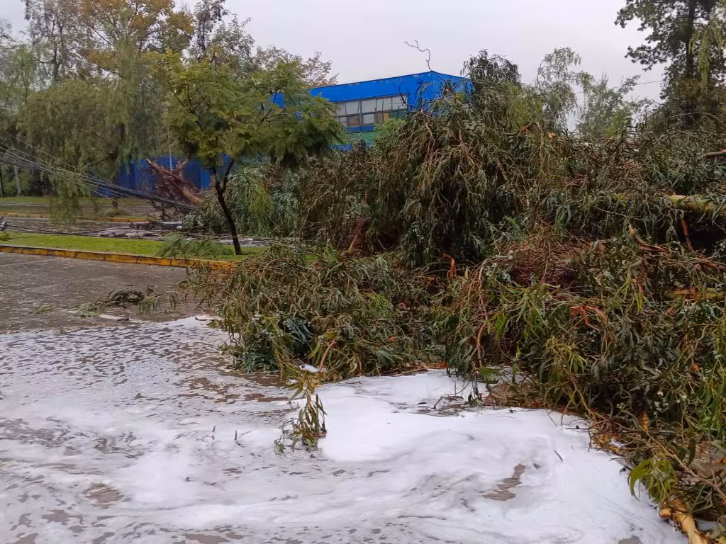 Sistema frontal en el sur de Chile EN VIVO: lluvia, viento, cortes de luz y damnificados por región