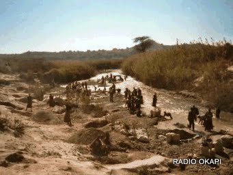 L’ONG ACLDH alerte sur la pollution de la rivière Musonoï au Lualaba
